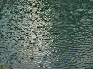 XIII · la dificultad de la&nbsp;diferencia