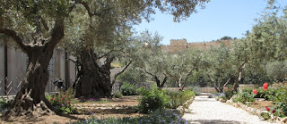 XXIII · 30&nbsp;denarios